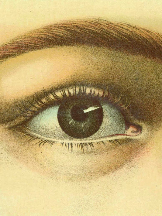 TASCHEN John Derian Book